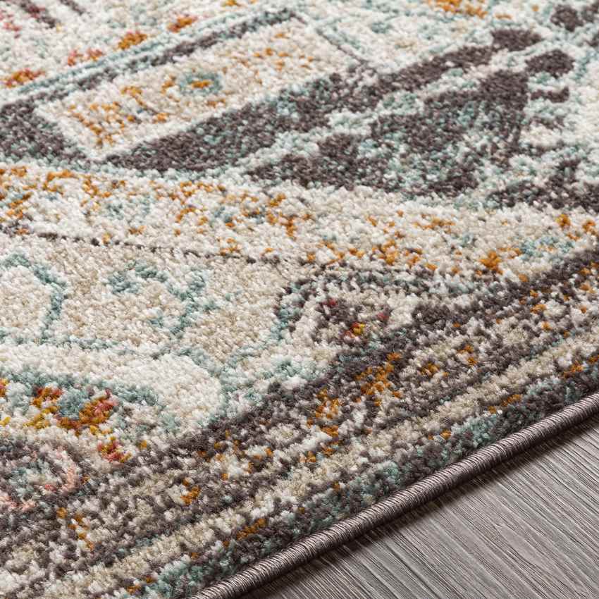 Heemskerk Traditional Pale Pink Area Rug