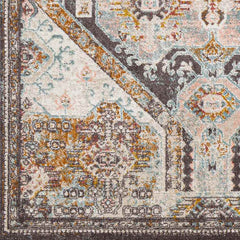 Heemskerk Traditional Charcoal Area Rug