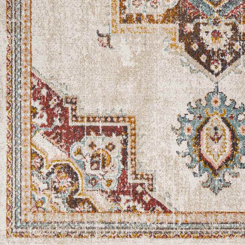 Huigsloot Traditional Brick Area Rug