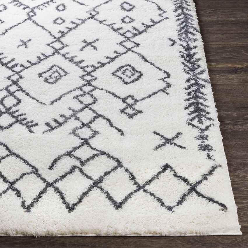Koedijk Global Charcoal Area Rug