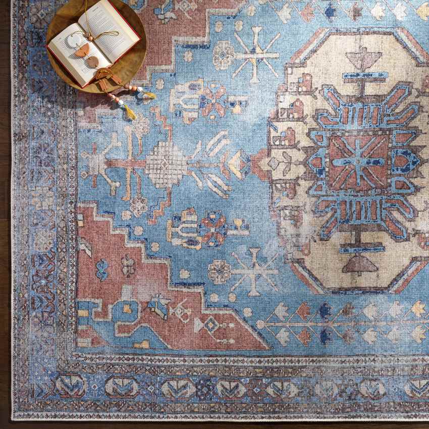 Laren Traditional Aqua Washable Area Rug