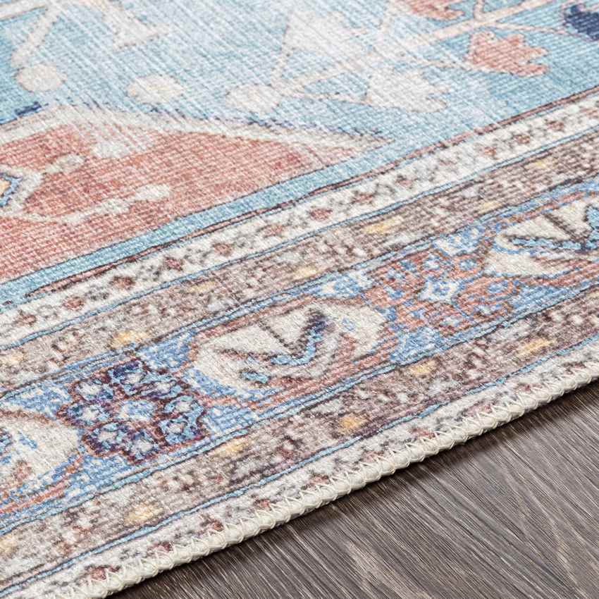 Laren Traditional Aqua Washable Area Rug