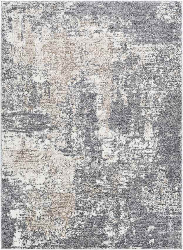 Oosterzij Modern Medium Gray Area Rug