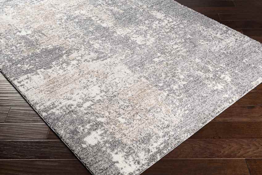 Oosterzij Modern Medium Gray Area Rug