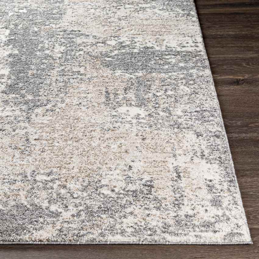 Oosterzij Modern Medium Gray Area Rug