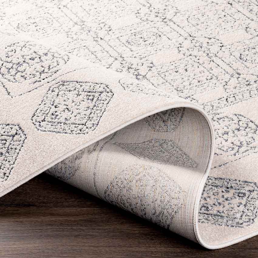 Tjallewal Global Medium Gray Area Rug