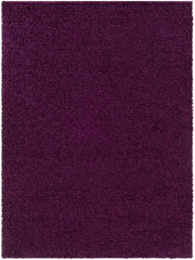 Tuindorp Modern Eggplant Area Rug