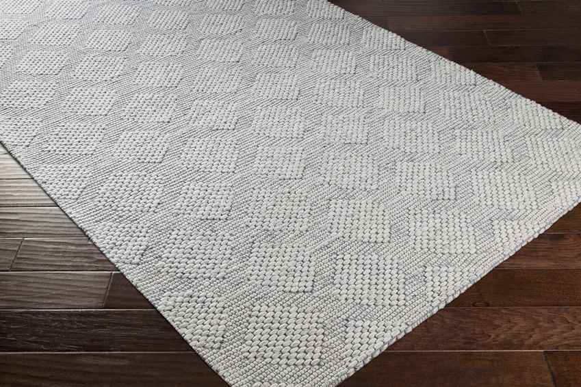 Baarschot Modern Charcoal Area Rug