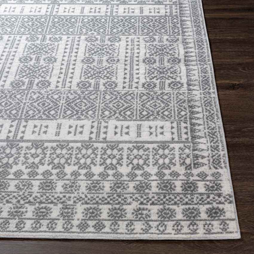 Besselaar Global Light Gray Area Rug