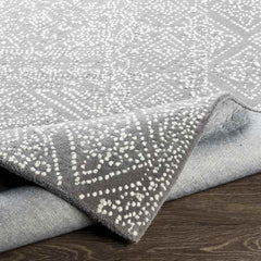 Boschkens Global Light Gray Area Rug