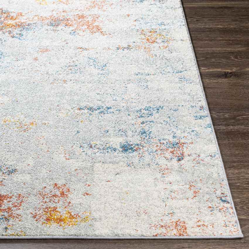 Breugel Modern Medium Gray Area Rug