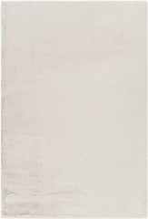 Casteren Modern Ivory Area Rug