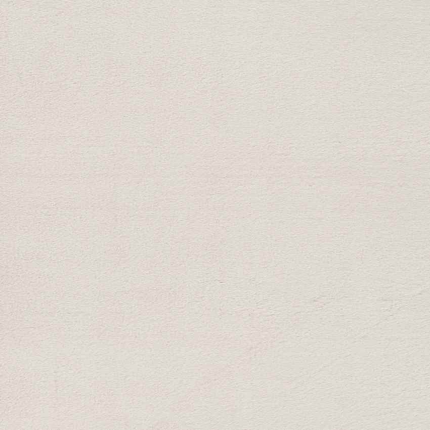 Casteren Modern Ivory Area Rug