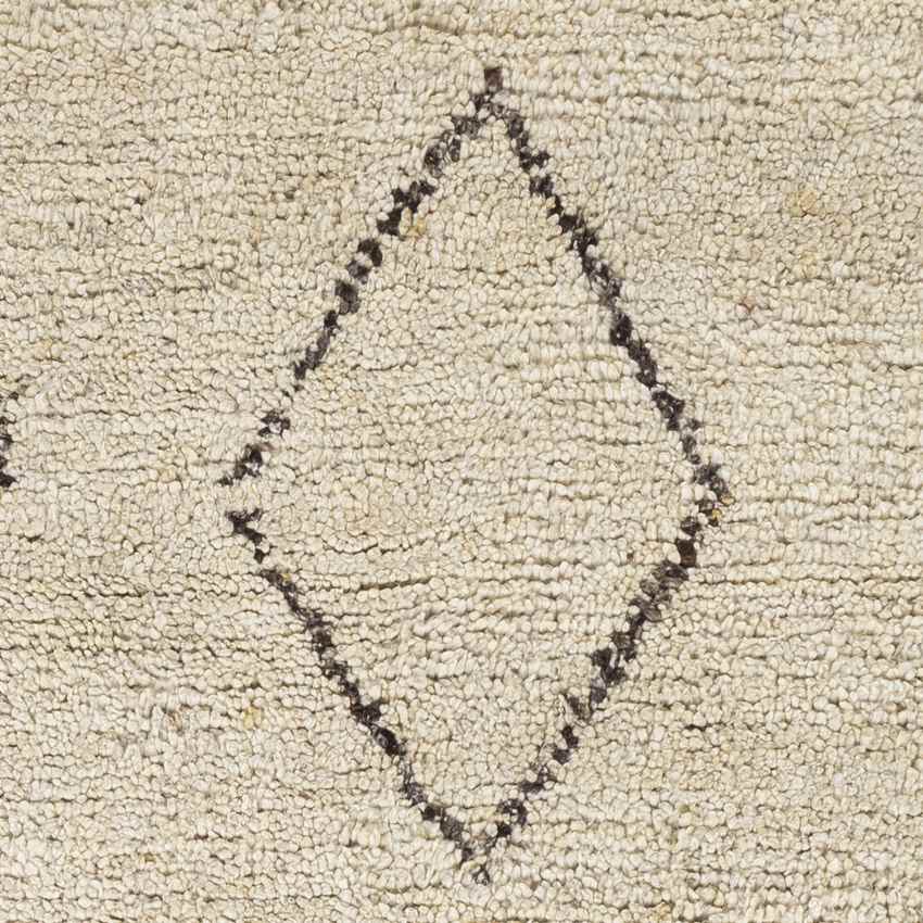 Cromvoirt Global Ivory Area Rug