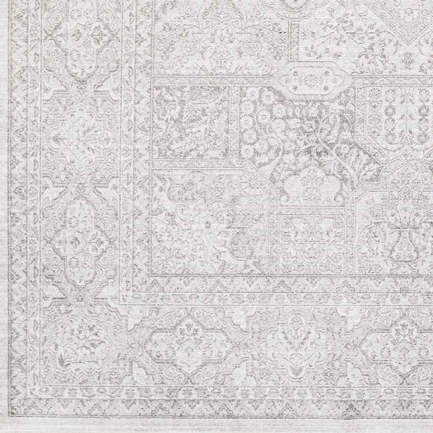 Eersel Traditional Light Gray Area Rug