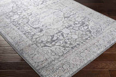 Eikberg Traditional Light Gray Area Rug