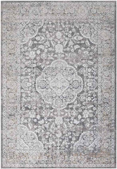 Eikberg Traditional Light Gray Area Rug