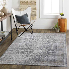 Eikberg Traditional Light Gray Area Rug