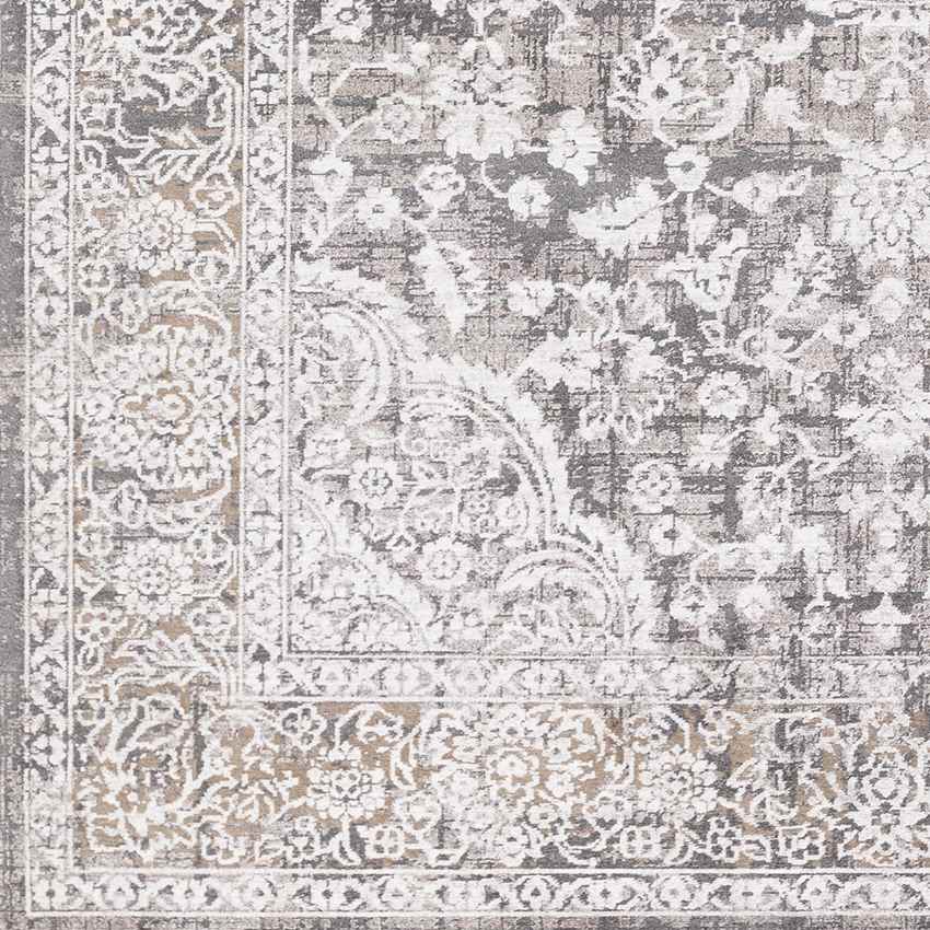 Eikberg Traditional Light Gray Area Rug