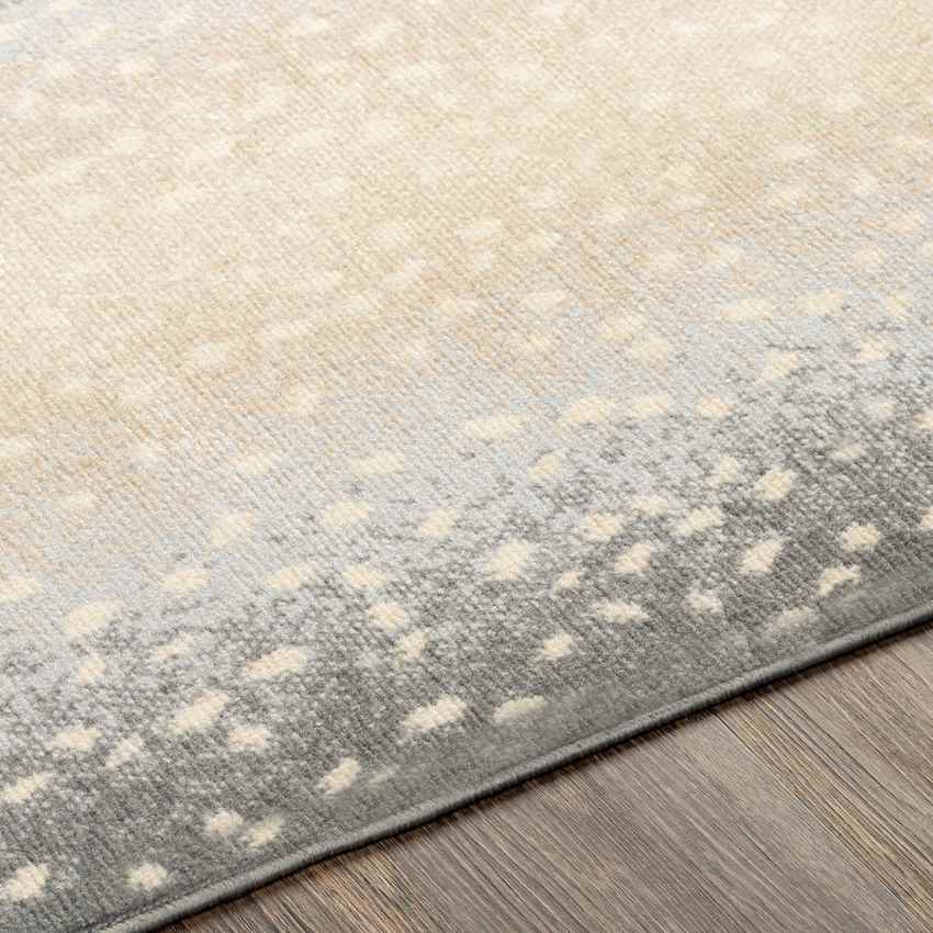 Esdonk Modern Medium Gray Area Rug
