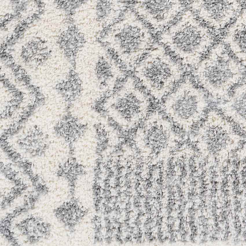 Gerwen Global Charcoal Area Rug