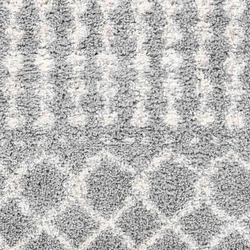 Giessen Global Light Gray Area Rug