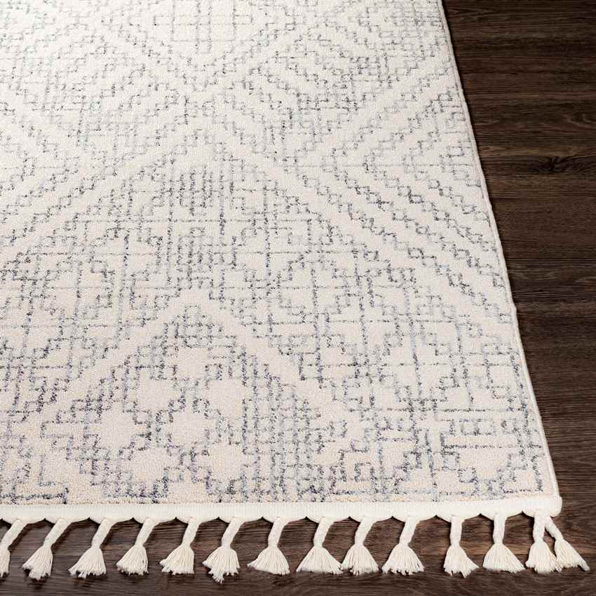 Helbroek Global Medium Gray Area Rug