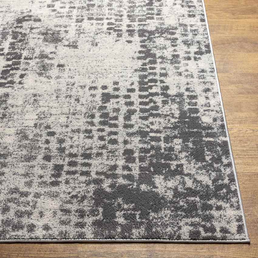 Horst Modern Charcoal Area Rug