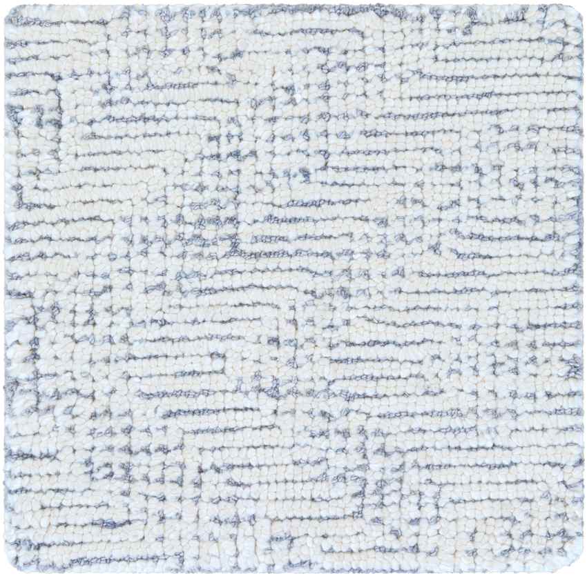 Ragaz Modern Gray Area Rug