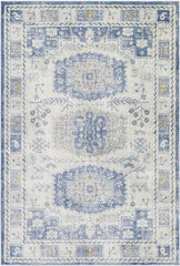 Landorp Traditional Denim Area Rug