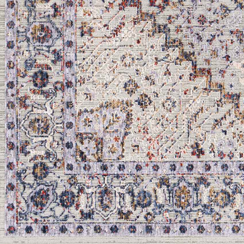 Lieseind Traditional Light Gray Area Rug