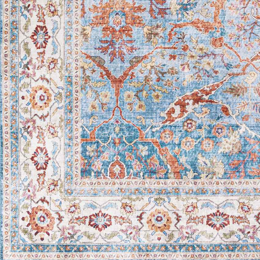 Looieind Traditional Brick Red Area Rug
