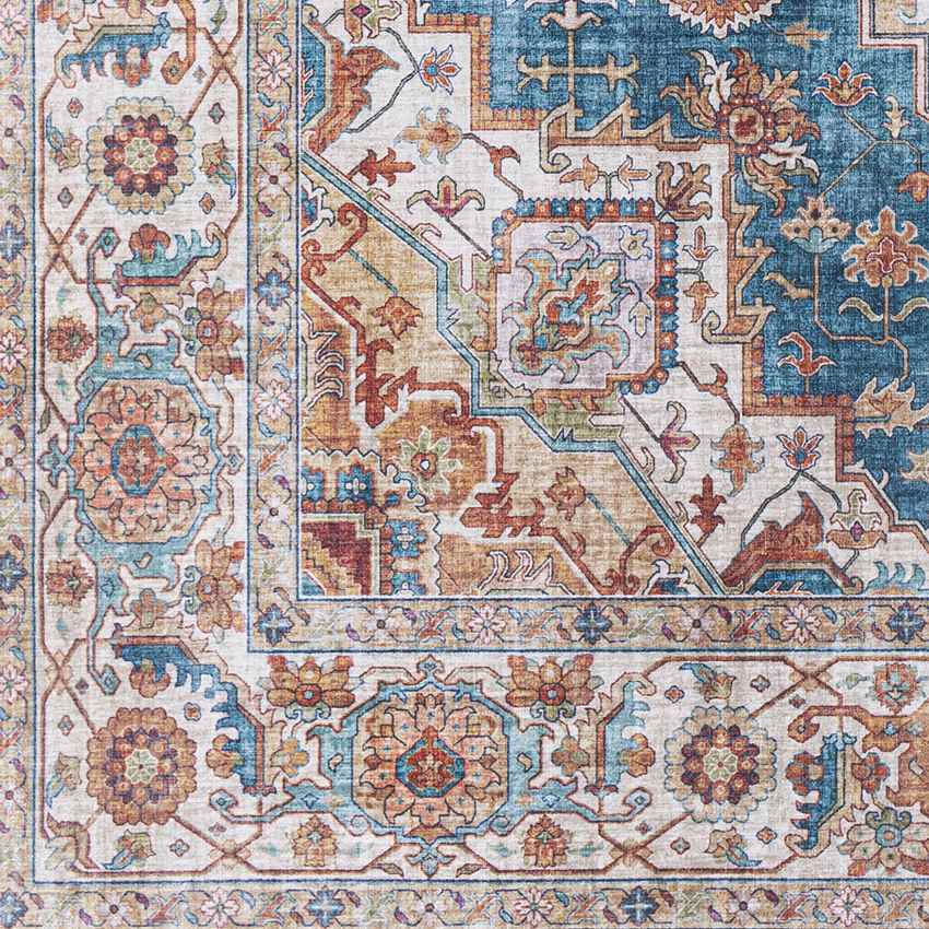 Loon Traditional Burnt Orange Area Rug