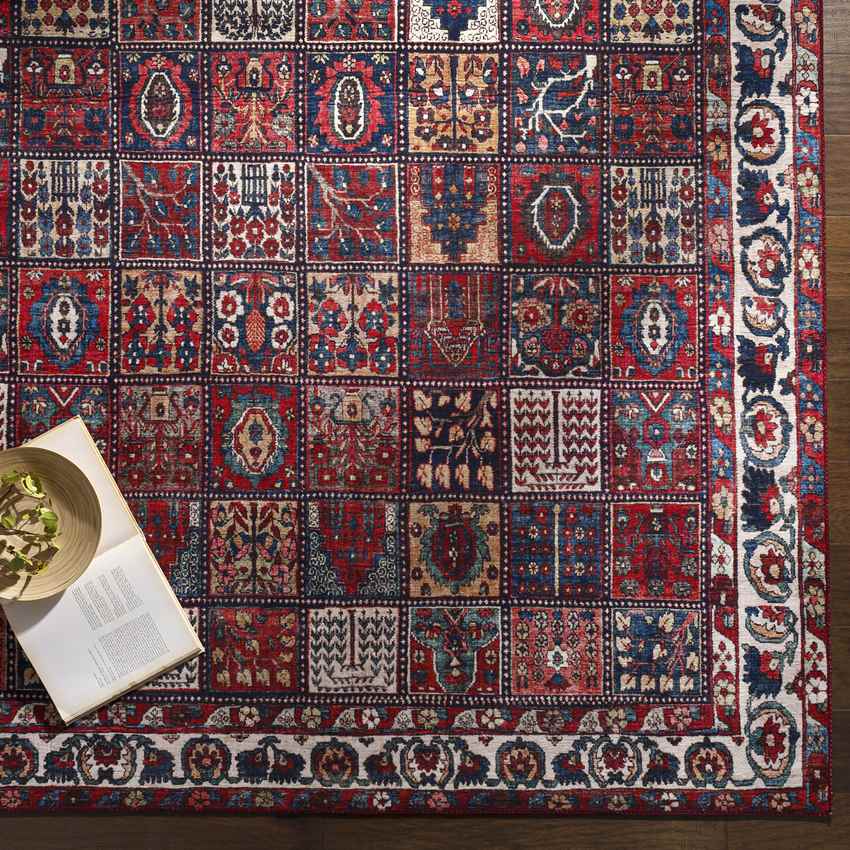 Luitert Traditional Dark Red Area Rug