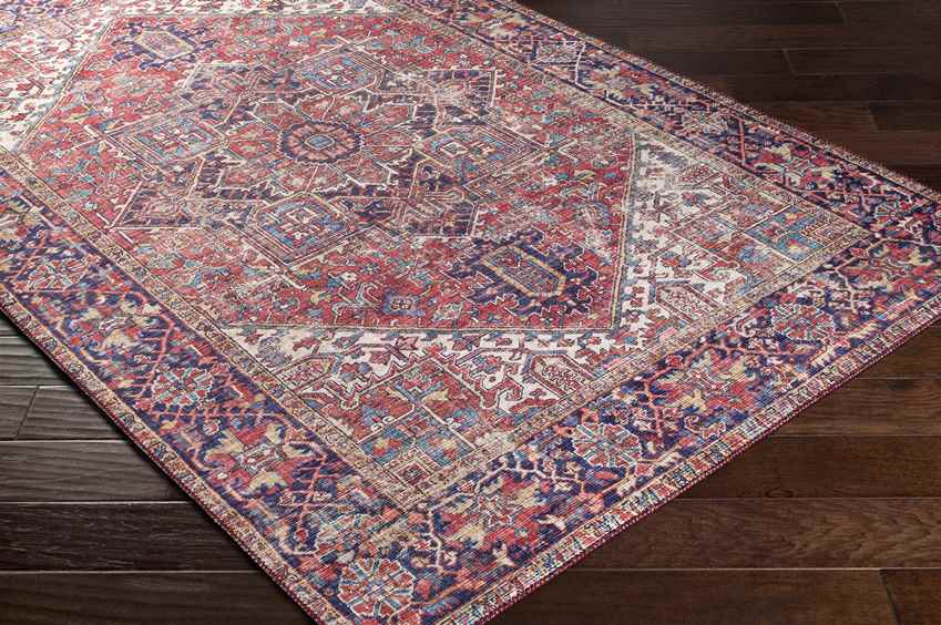 Medevoort Traditional Dark Red Area Rug