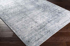 Moleneind Traditional Medium Gray Area Rug