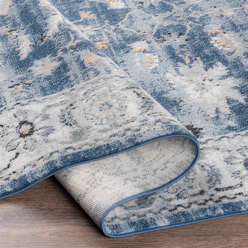Molenveld Traditional Dark Blue Area Rug