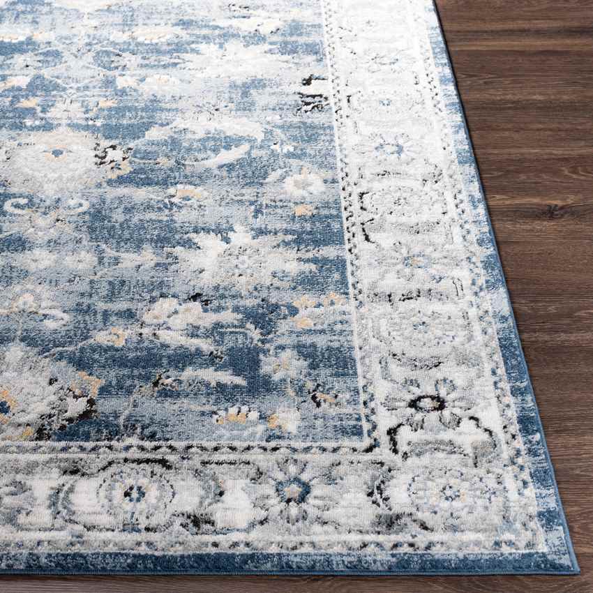 Molenveld Traditional Dark Blue Area Rug