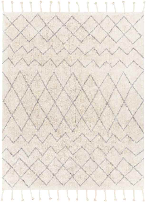 Nispen Global Taupe Area Rug