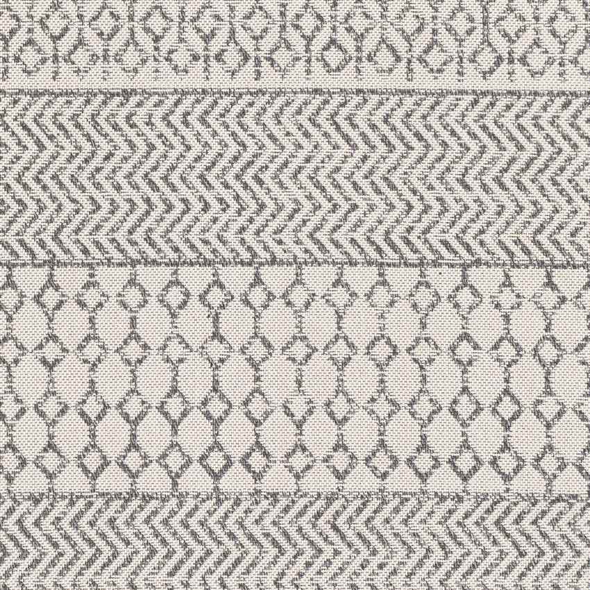 Aigle Global Charcoal Area Rug