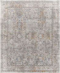 Lenox Traditional Light Gray Area Rug