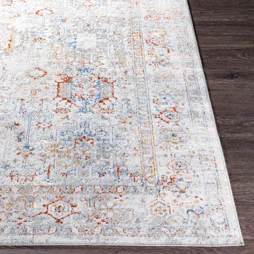 Lenox Traditional Light Gray Area Rug