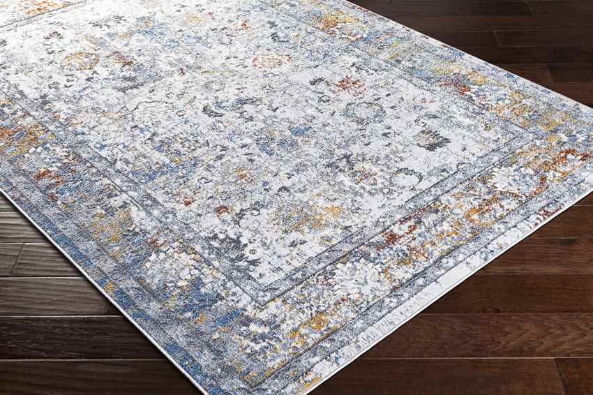 Lepanto Traditional Light Gray Area Rug