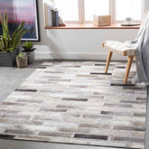 Udenhout Rustic Light Gray Area Rug