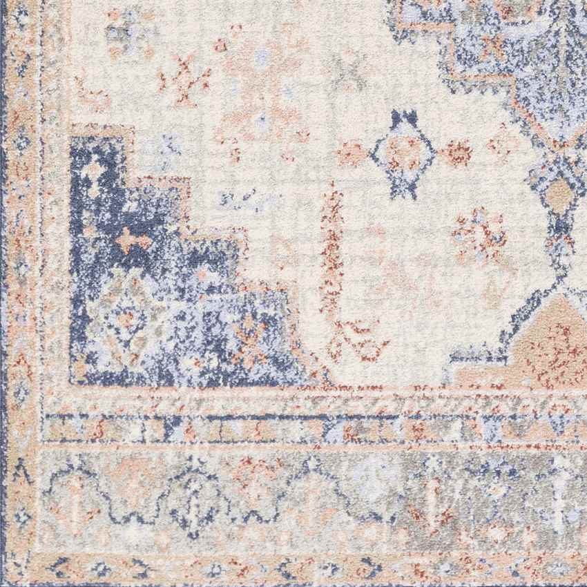 Tadcaster Traditional Bright Blue Area Rug