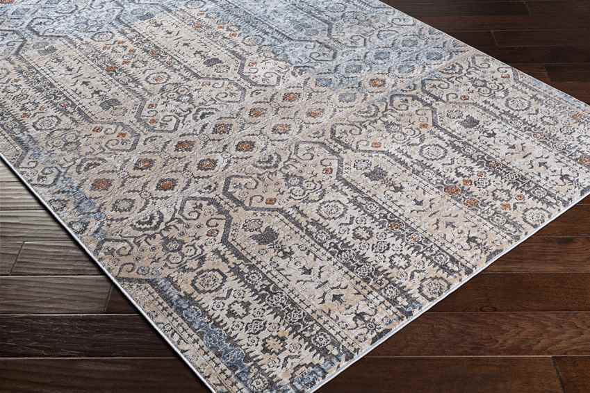 Vlierden Traditional Blue Area Rug