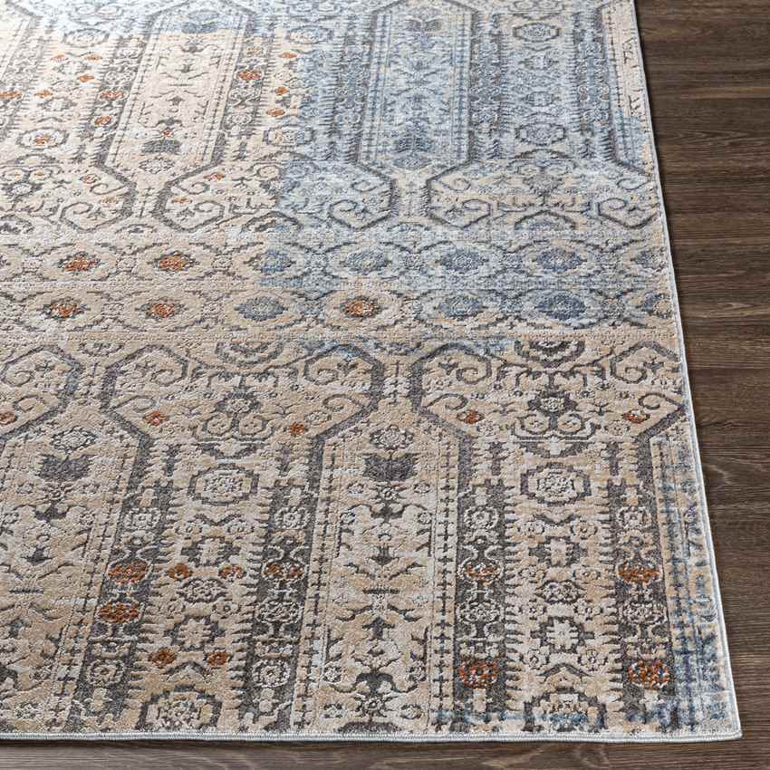 Vlierden Traditional Blue Area Rug