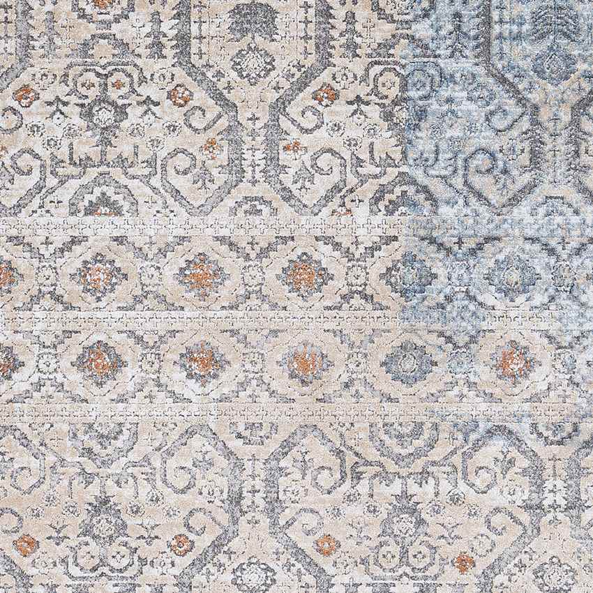 Vlierden Traditional Blue Area Rug