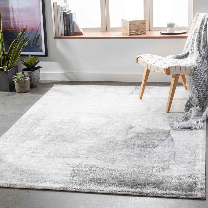 Oler Modern Light Gray Area Rug