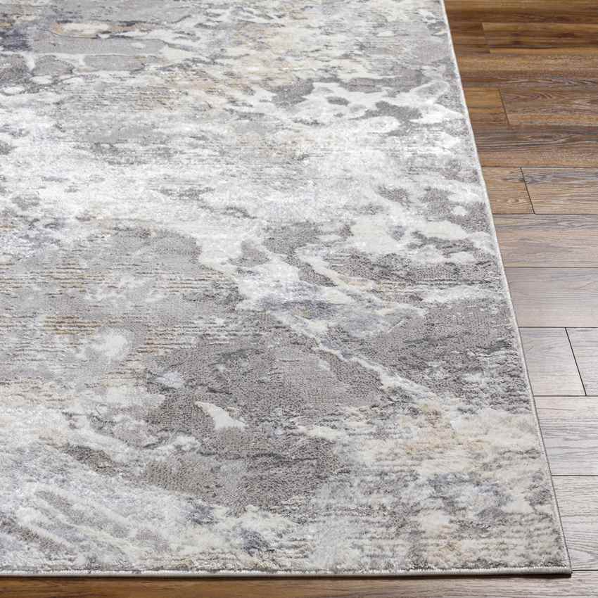 Osen Modern Light Gray Area Rug